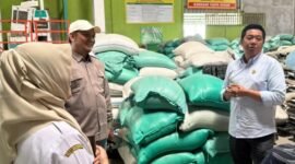 Wakil Bupati Barito Utara, Felix Sonadie Y. Tingan, mempelajari proses hilirisasi beras di PT Adi Jaya Internasional, Nganjuk, Rabu (22/4/2026).